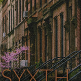 Syxth Giving